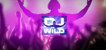 DJ Wild: cum se joacă și strategii de joc