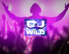 DJ Wild: cum se joacă și strategii de joc