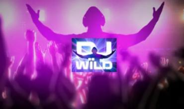 DJ Wild: cum se joacă și strategii de joc